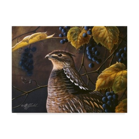 Wilhelm Goebel 'Grouse And Grapes' Canvas Art,14x19